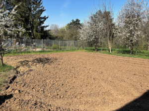 Gemüsegarten hinter der Maschinenhalle