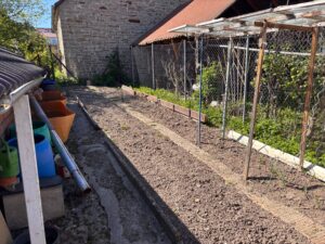 Gemüsegarten