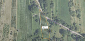 Lageplan Weinberg