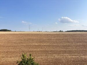 Blick aufs Feld