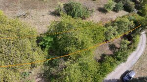 Obstbaumwiese auf Oberriexinger Gemarkung
