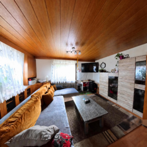 Wohnzimmer EG